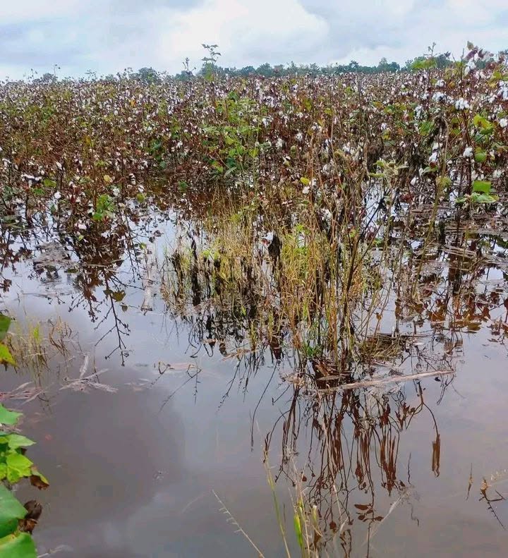 Encuentro con agricultores de la Sabana